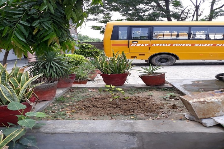 Holy Angel School-Transport