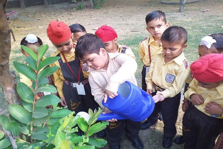 Jai Vatika Public School-Plantation