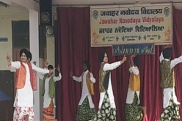 Jawahar Navodaya Vidyalaya-Dance
