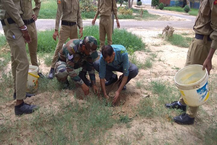Jawahar Navodaya Vidyalaya-Tree Plantation