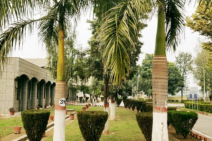 Jawahar Navodaya Vidyalaya-Inside Campus