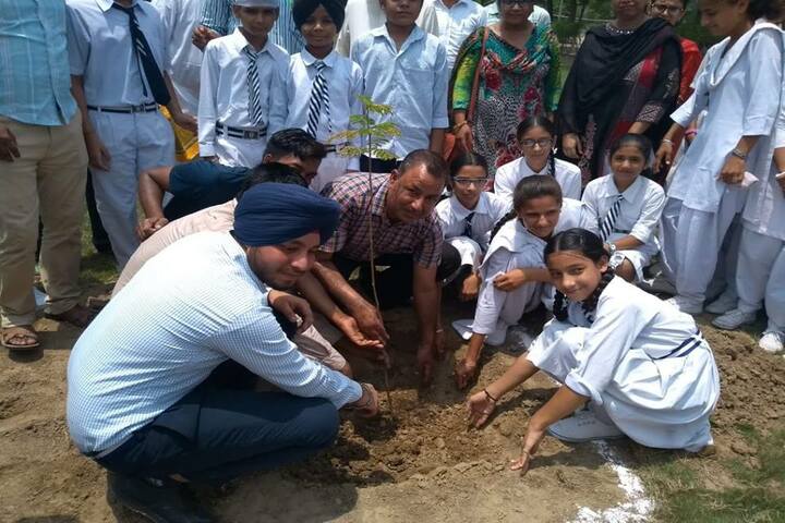 Jawahar Navodaya Vidyalaya-Tree Plantation