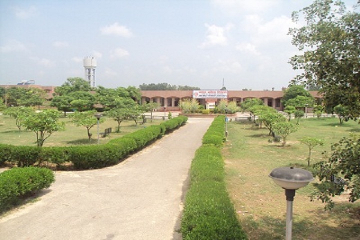 Jawahar Navodaya Vidyalaya-Campus View