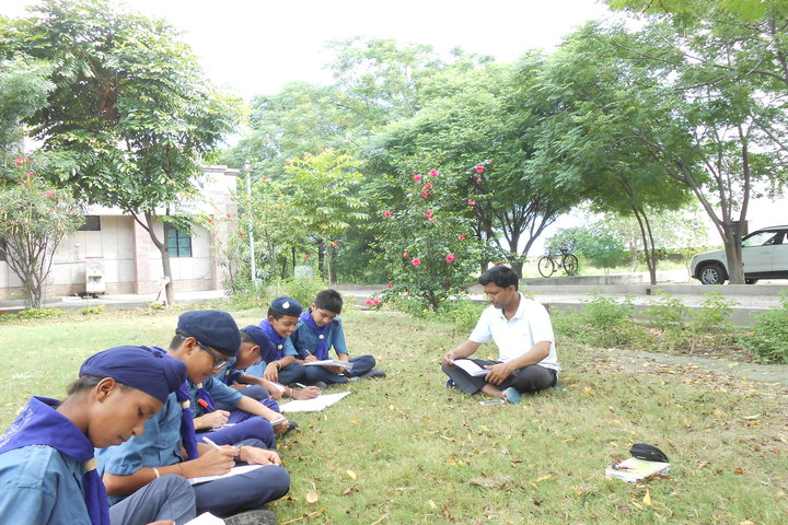 Jawahar Navodaya Vidyalaya-Scouts