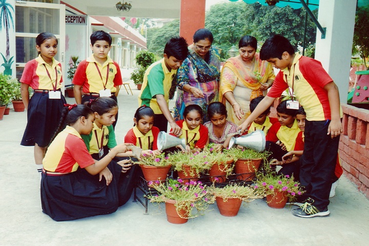 Kay Jay Model High School-Environment Day