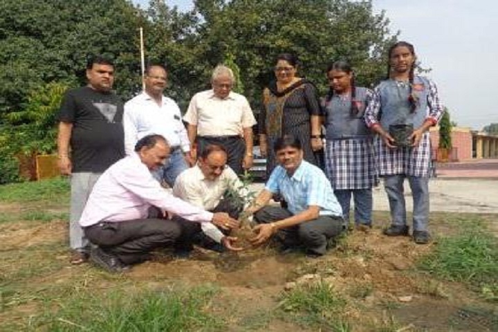 Kendriya Vidyalaya-Tree plantation