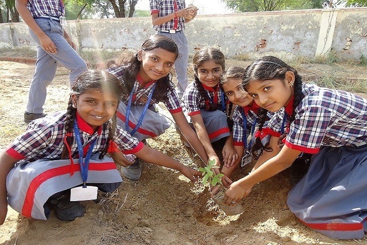 Kendriya Vidyalaya-Tree Plantation