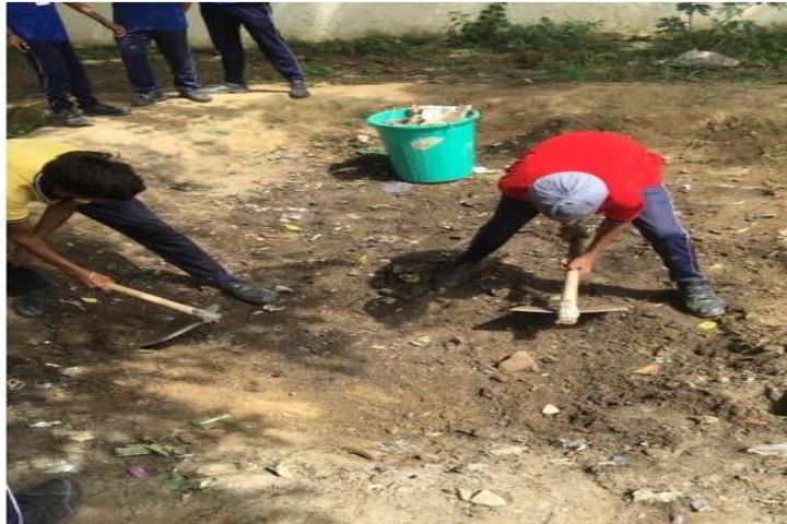 Kendriya Vidyalaya No 3-Tree Plantation