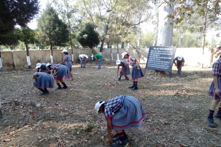 Kendriya Vidyalaya No 4-Activity