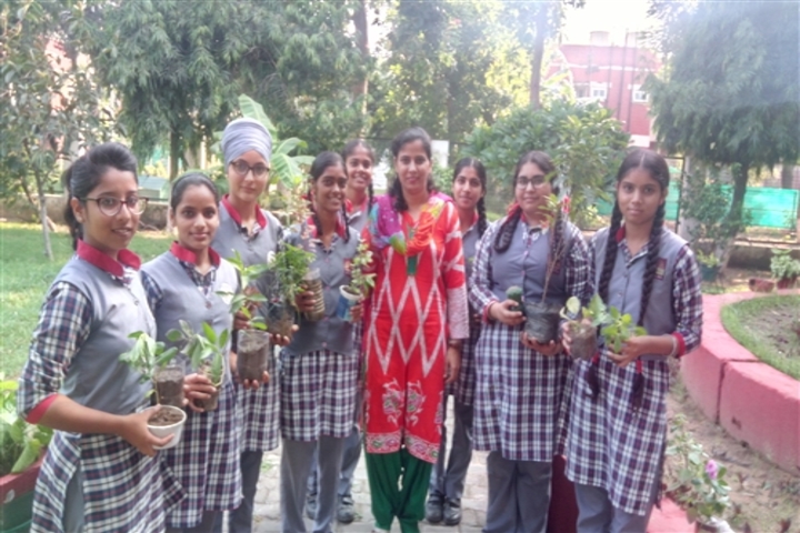 Kendriya Vidyalya-Tree Plantation