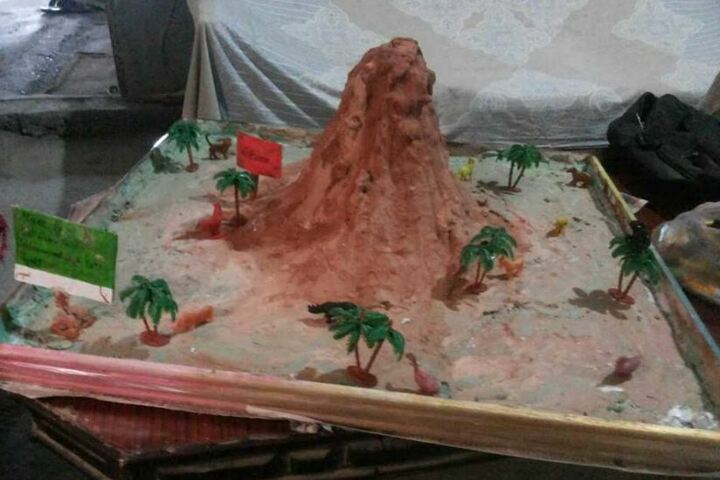 Lakshmi Devi Sahni School-Science Experiment