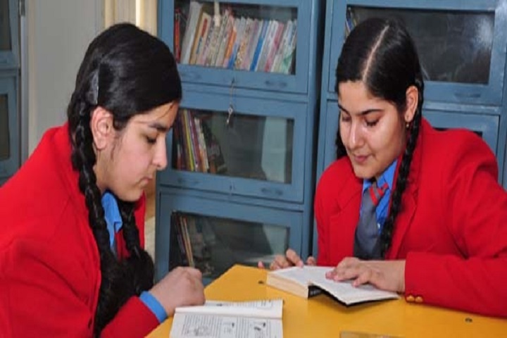 Lawrence Public Senior Secondary School-Library