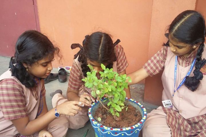Amrita Vidyalayam-Planting
