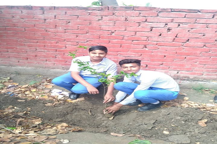 Mata Sahib Kaur Public School-Green Day