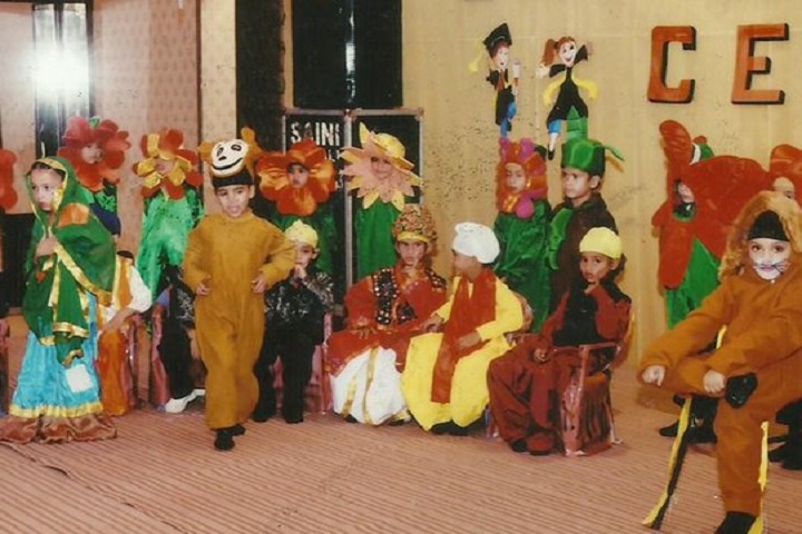 Mata Sahib Kaur Public School-Drama