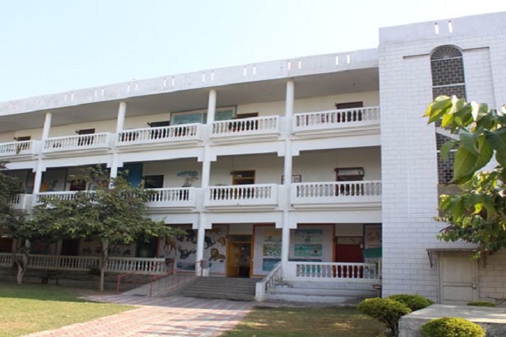 Millennium Public School-School Building