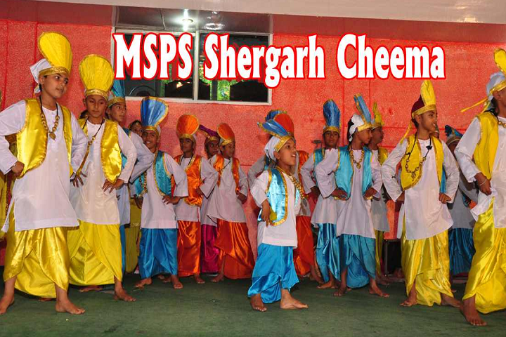 Modern Secular Public School-Annual day