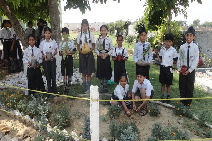 Mother India Public School-Plantation