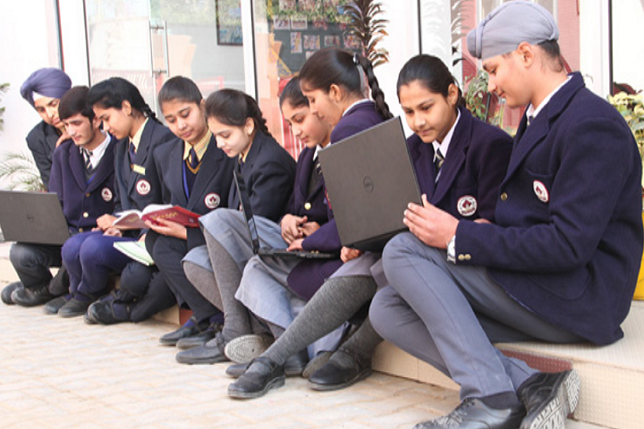 Nand Singh Memorial Public School-Student Projects