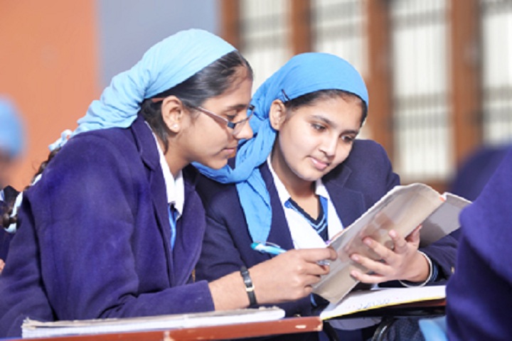 Nankana Sahib Public Senior Secondary School-Library