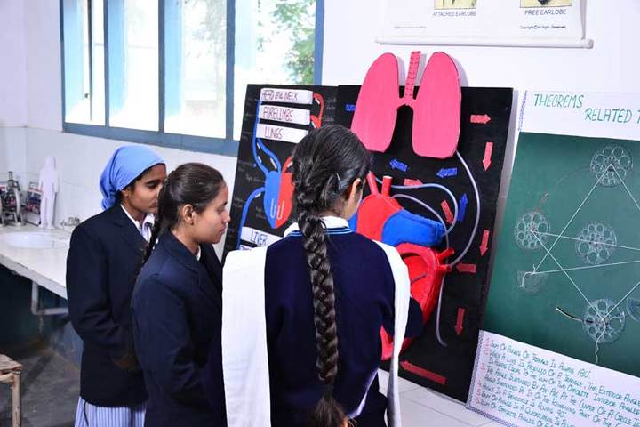 Nankana Sahib Senior Secondary School-Biology Lab
