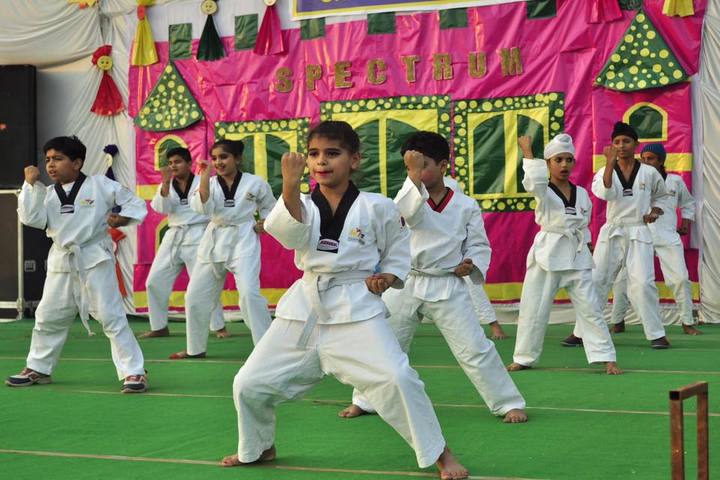 Narain Smart School-Karate