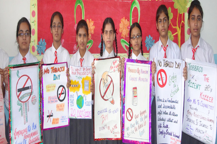 National Convent School-Chart Presentation