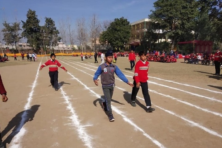 Netaji Model School-Sports