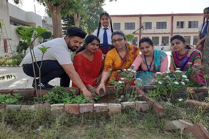 Oliver Public School-Plantation