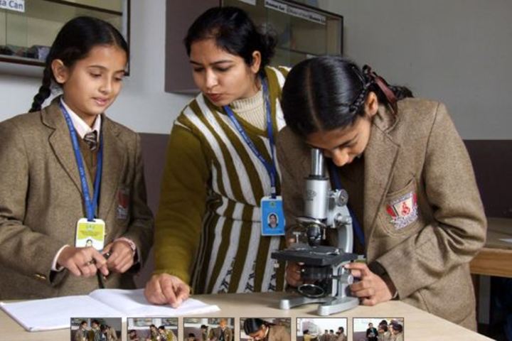Oxbridge World School- Biology Lab