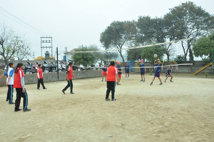 Panacea Senior Secondary Public School-Volley Ball Ground