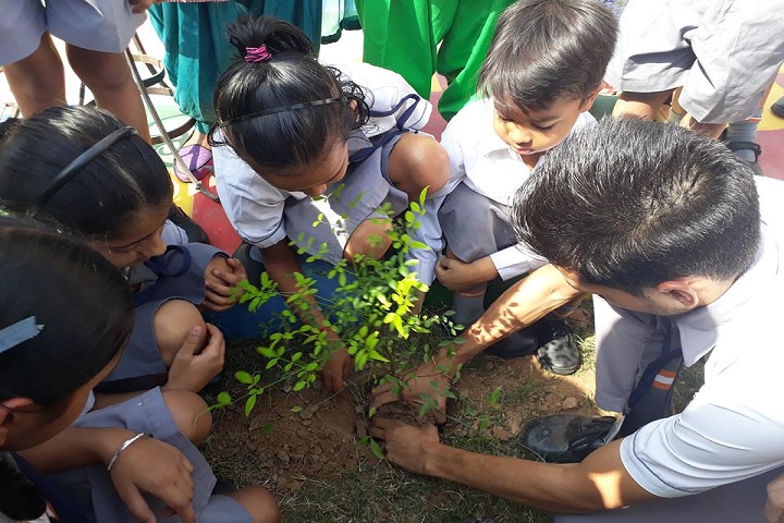 Paragon Senior Secondary School-Plantation