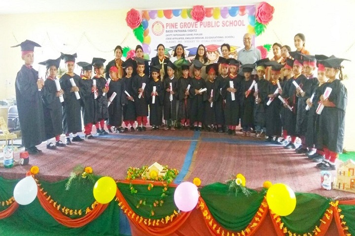 Pine Grove Public School-Annual Day Celebrations