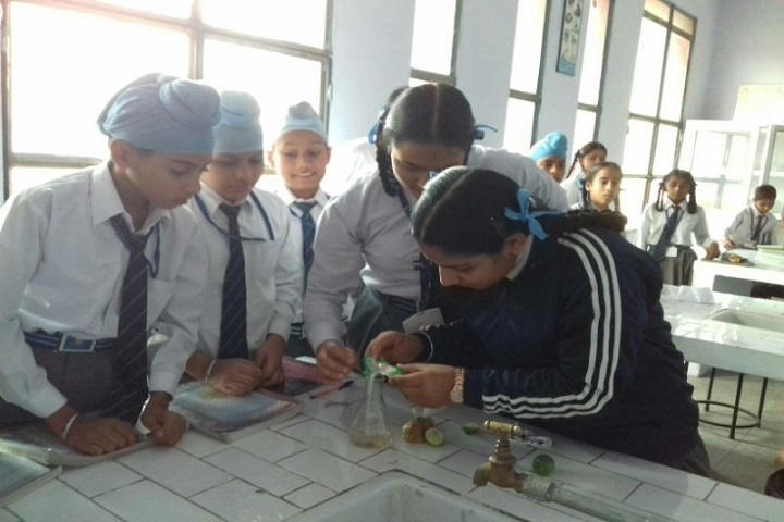 Pine Grove Public School-Chemistry Lab