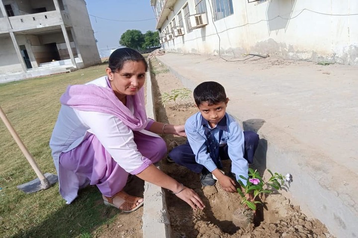 Punjab Convent School -Plantation