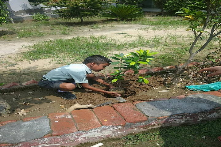 Punjab Convent School-Events1