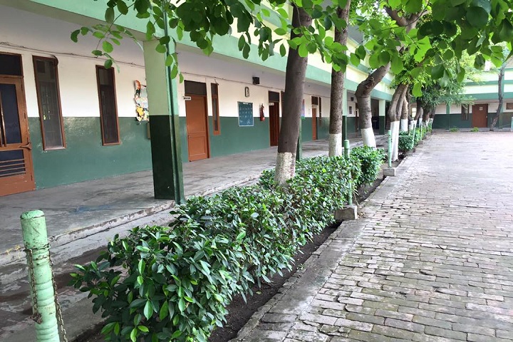 Punjab Public Senior Secondary School-School Area