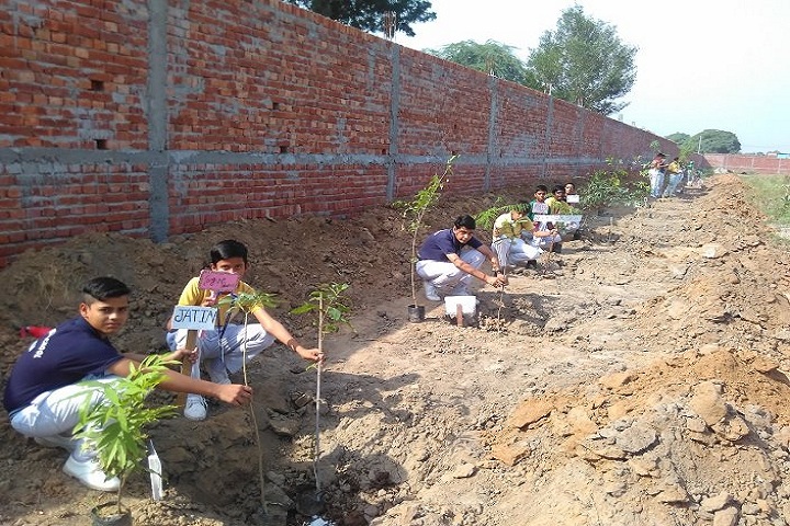 R K S Senior Secondary Public School-Plant A tree