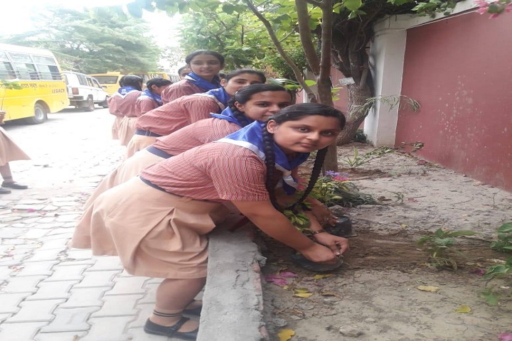 Ryan International School-Plant A Tree