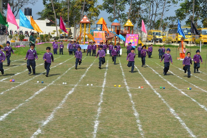 S Sukhjinder Singh Memorial Public School-Games