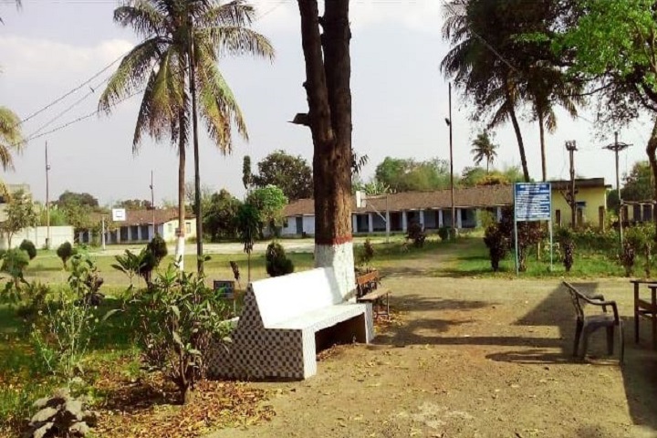 Jawahar Navodaya Vidyalaya-Campus-View