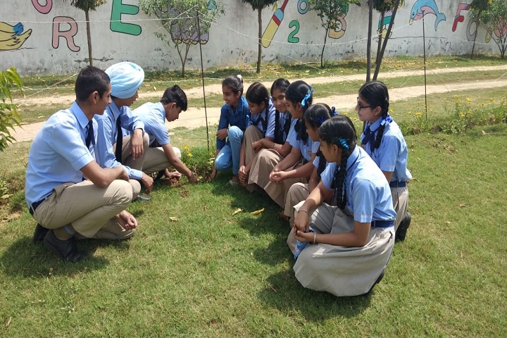 Saffron City School-Plant a Tree Program