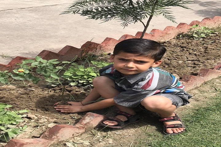 Saint Bir Santosh Public School-Plant a Tree Program