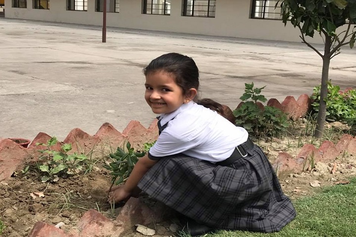 Saint Bir Santosh Public School-Others plantation