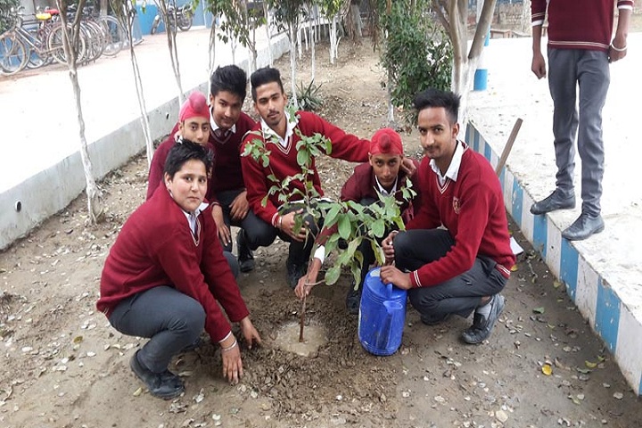 Saint Kabir Convent Day Boarding Senior Secondary School-Plant a Tree Program
