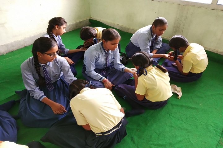 Saint Kabir Gurukul-Mehandi Compitition