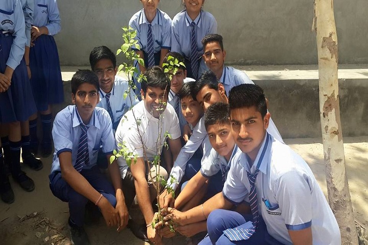 Saint Kabir Gurukul-Plant a Tree Programme