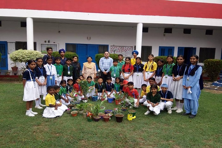 Saint Soldier Convent School-Activity
