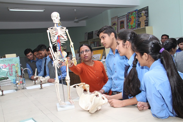 Sanskiriti Kmv School-Biology Lab