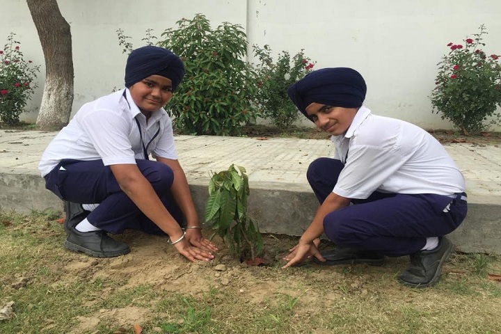 Sant Baba Bhag Singh International School-Planting